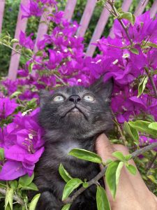 489948901_4047275828819096_4799395147897637113_n