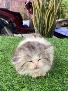 491839852_4053762814837064_6453354161836850894_n