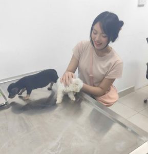 594538006_122102464179149880_894532086891993495_n