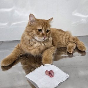 597396347_122105674083149880_6166640219489771396_n