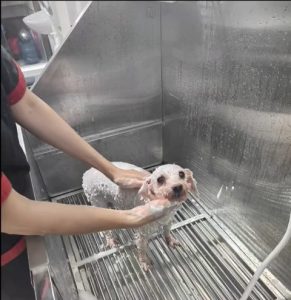 Download.mp4_snapshot_00.07.563